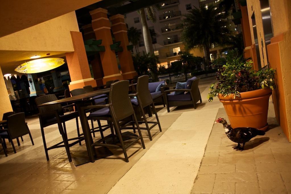 Club Wyndham Palm-Aire Hotel Pompano Beach Eksteriør billede